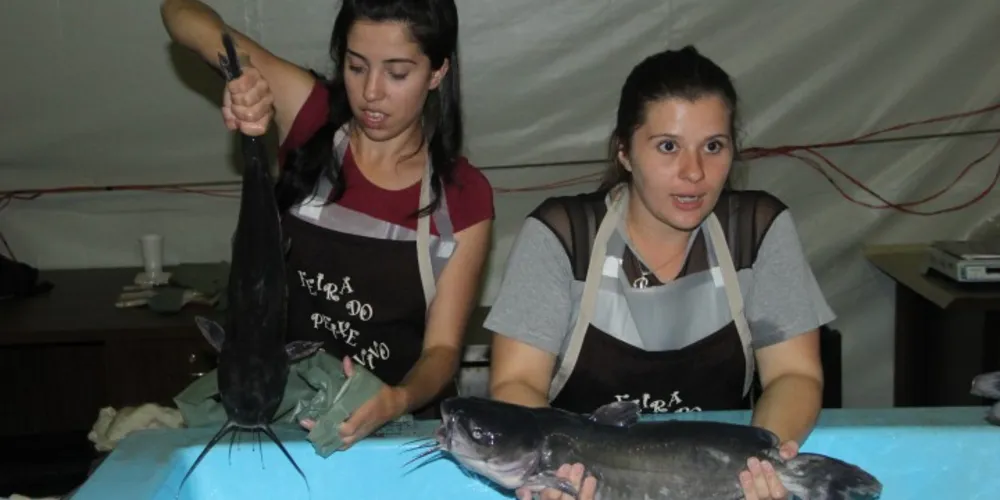 Imagem ilustrativa da imagem Feira do Peixe segue até sexta no Parque Ambiental