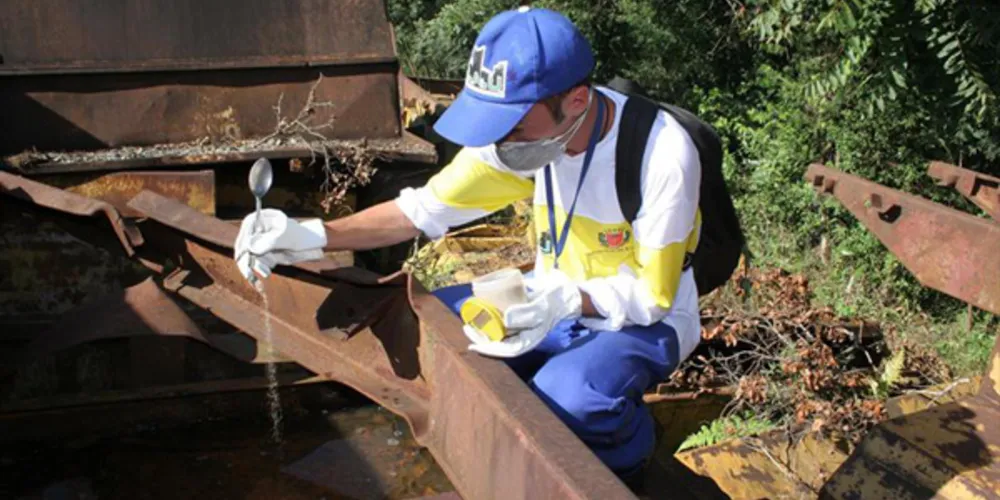 Imagem ilustrativa da imagem Curitiba confirma três casos de zika contraídos na cidade
