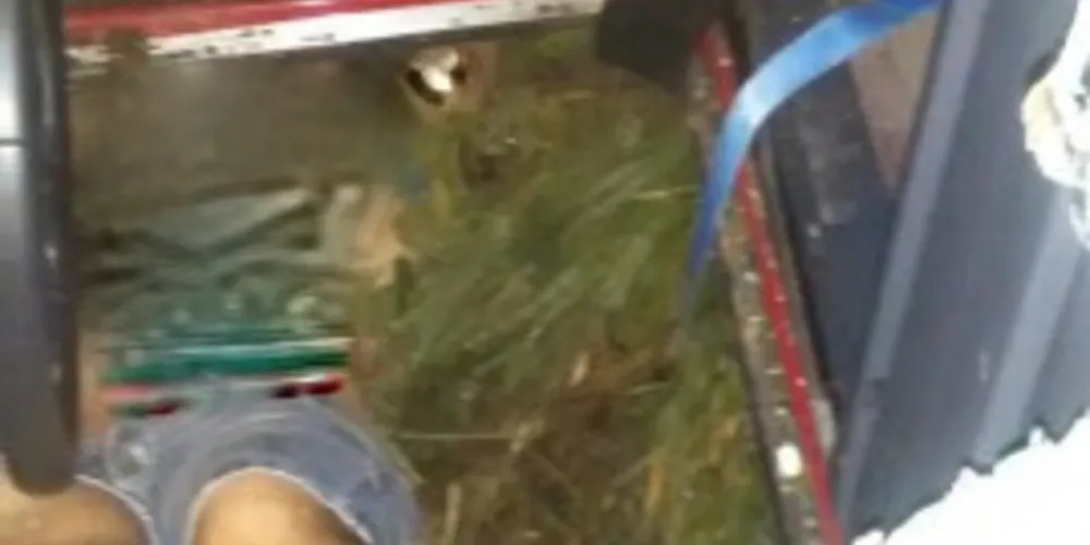 Imagem ilustrativa da imagem Caminhoneiro perde a vida em acidente na BR-376